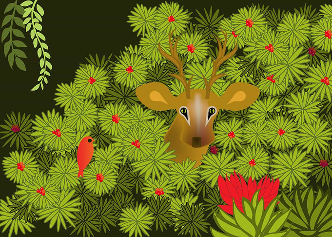 Deer in the Wilderness