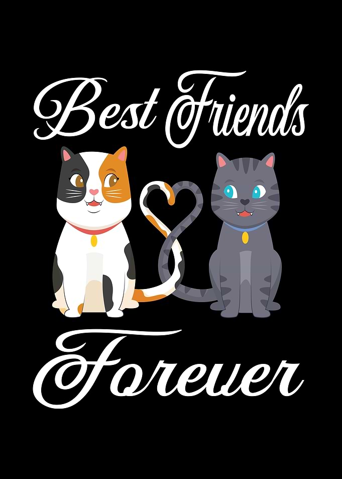 Best Friends Forever Dog