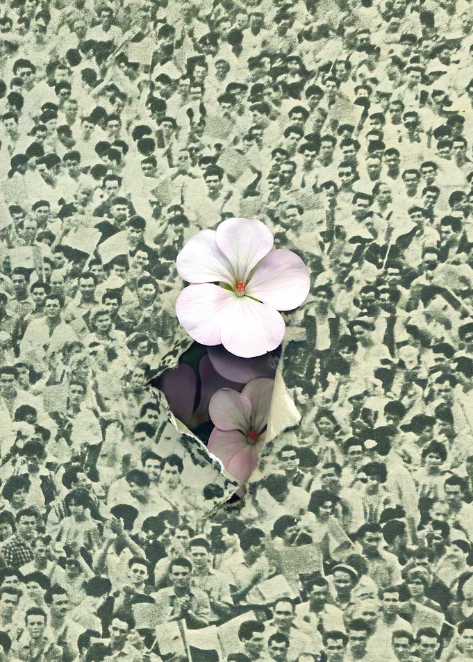 Flower power