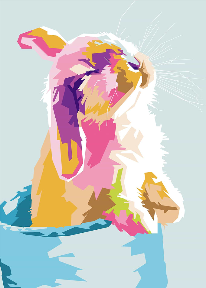 Cute Rabbit