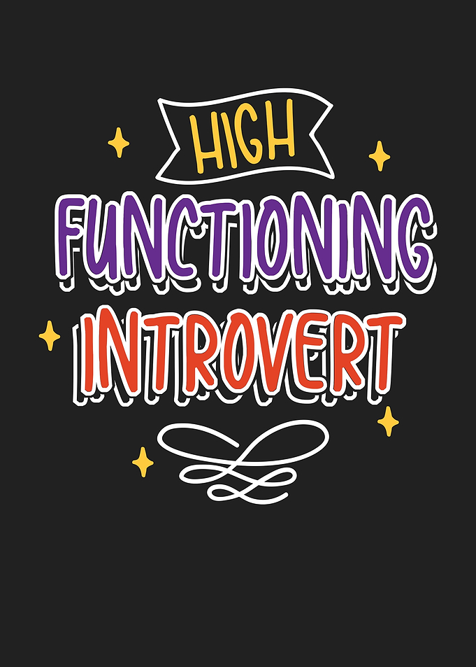 High Functioning Introvert