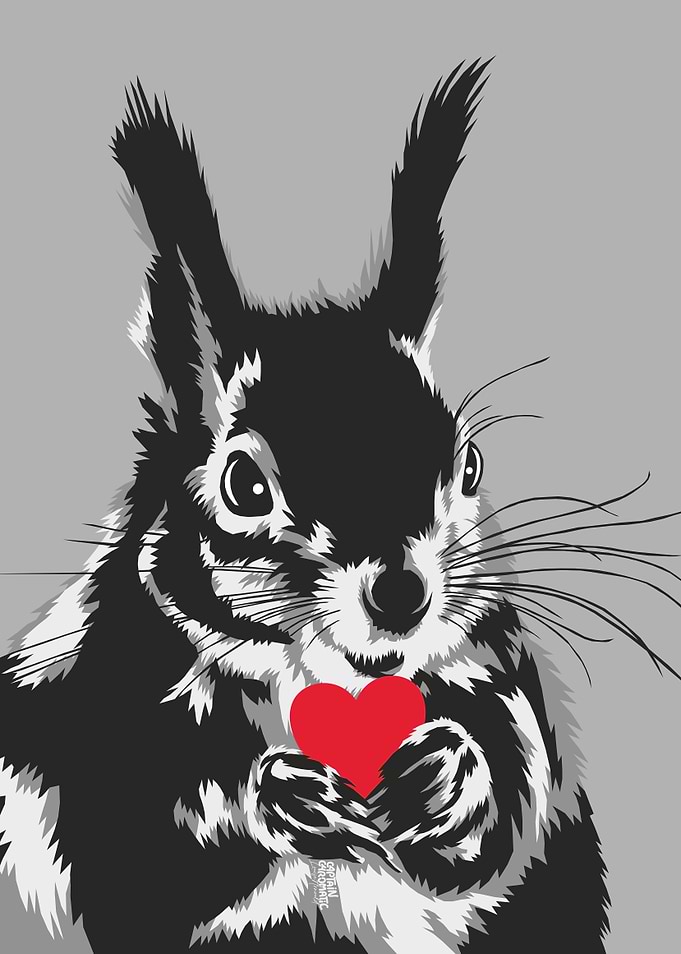 Black and white squirrel