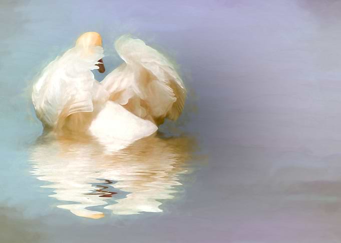Adrift