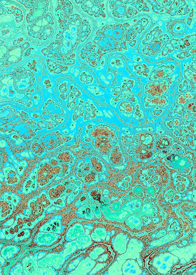 Turquoise Gold Texture 02