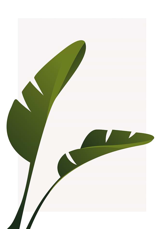 Botanical