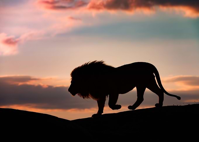 Sunset in the Serengeti