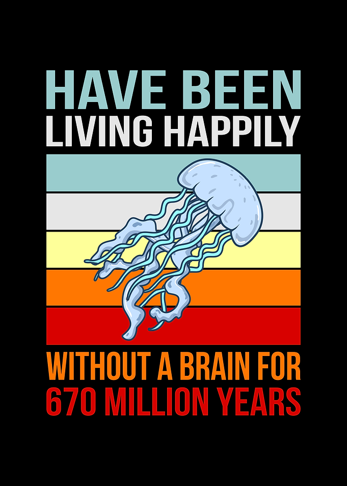 Jellyfish