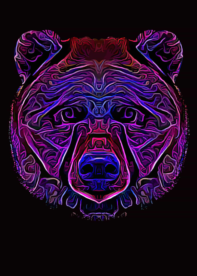 Bear Head Mystery