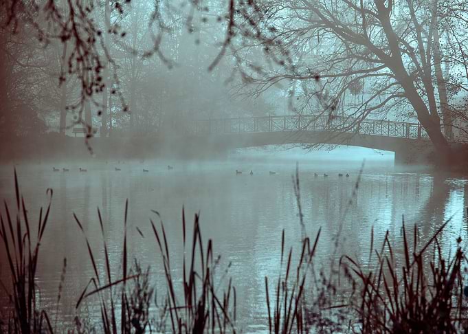 Autumn foggy lake in park