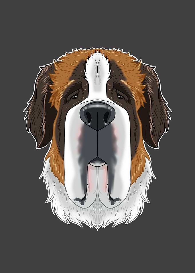 Saint Bernard Lover I Dog