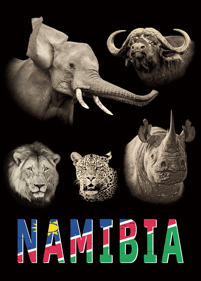 Namibia Big 5 Wildlife