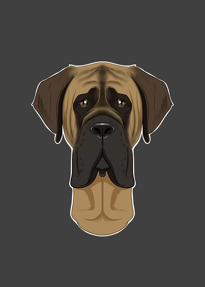 Mastiff Lover I Dog Lover
