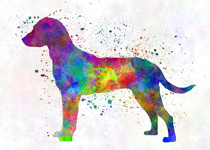 Montenegrin Mountain Hound