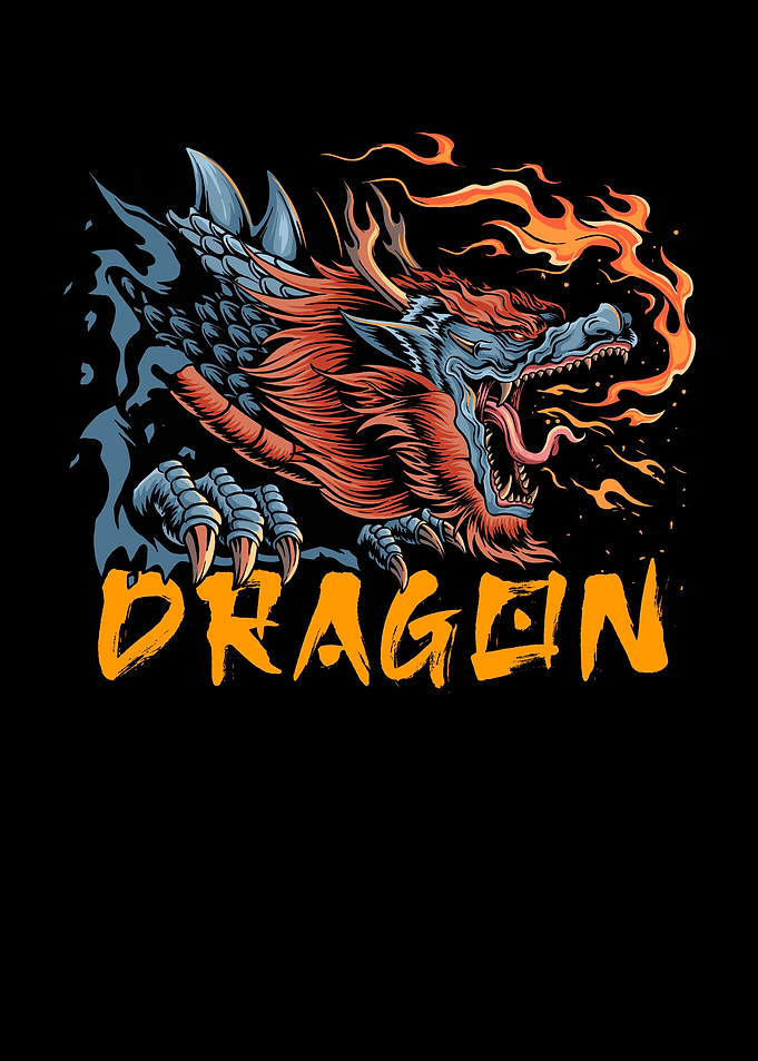Dragon Shirt Gift Idea