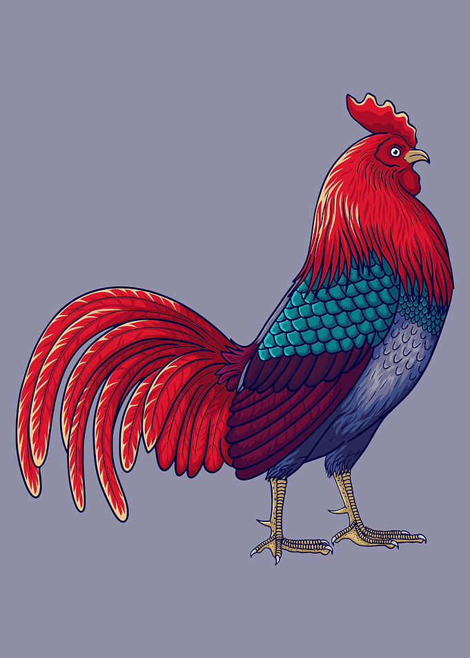 Cool chicken Rooster