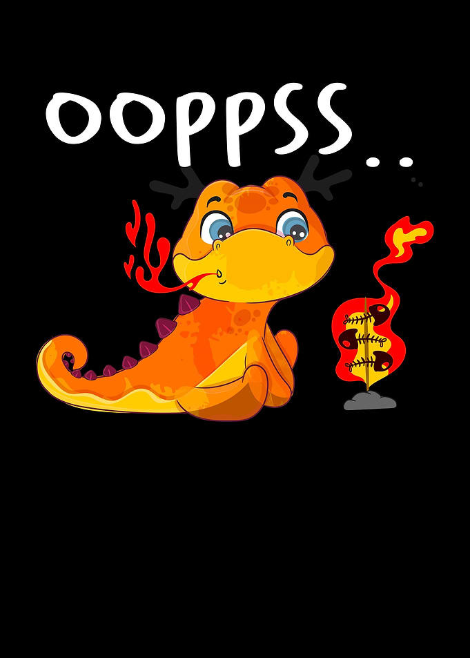 Dragon Shirt Gift Idea