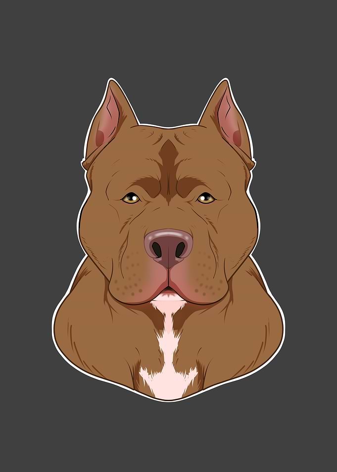 Pitbull Lover I Dog Lover