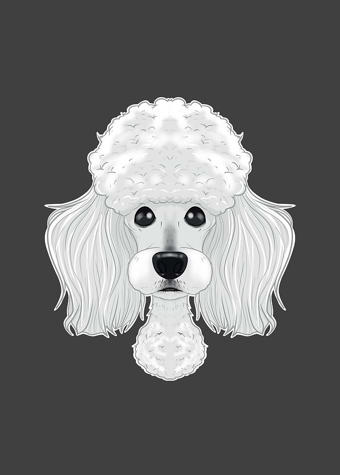 Poodle Lover I Dog Lover I