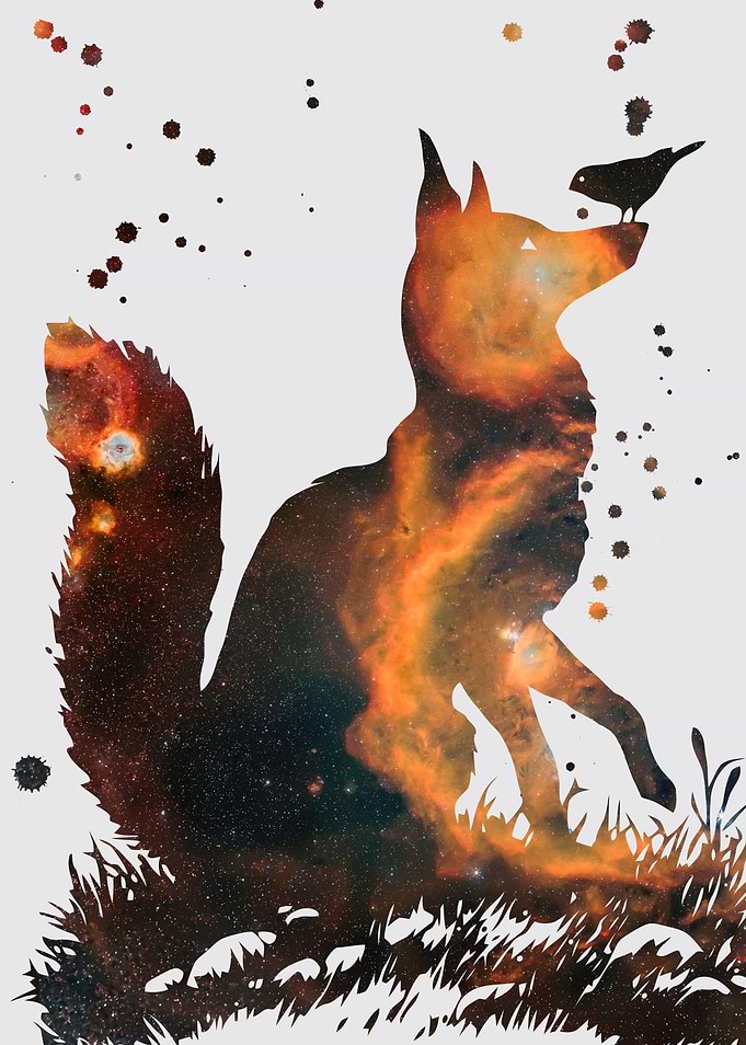 Fox nebula