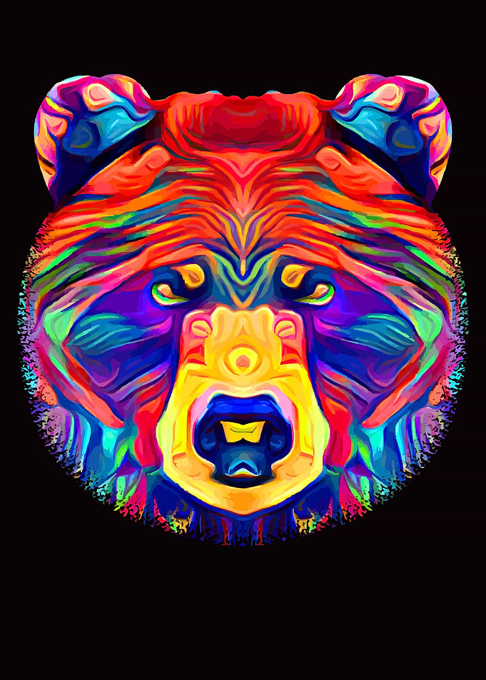 Bear Head Colorful