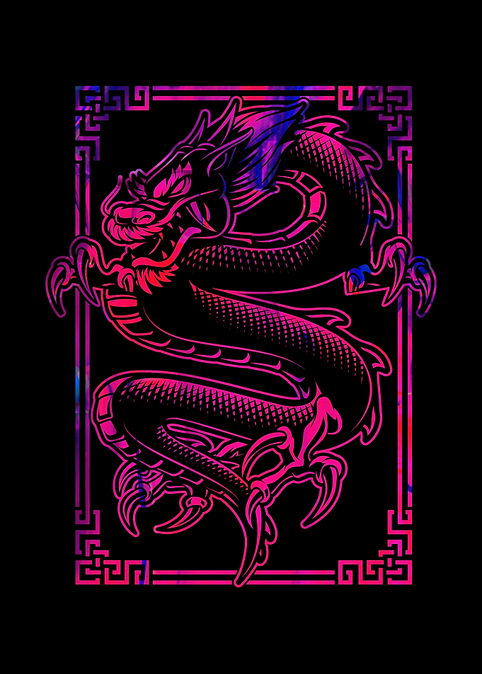 Dragon Shirt Gift Idea