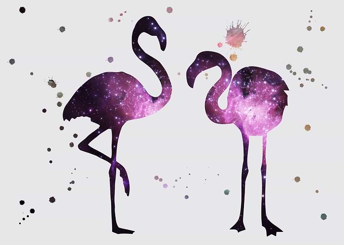 Flamingo nebula