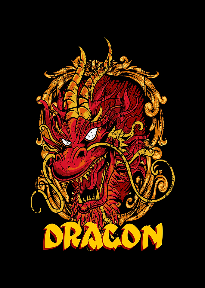 Dragon Shirt Gift Idea
