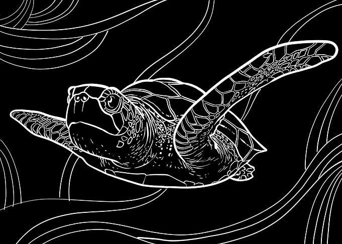 Sea turtle