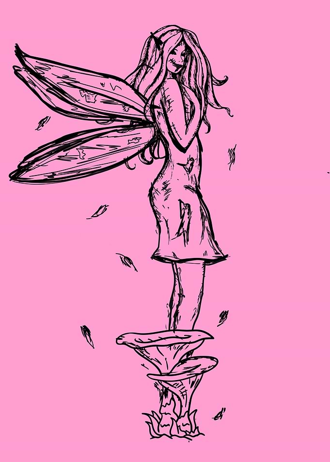 Fairycore Aesthetic Fairy