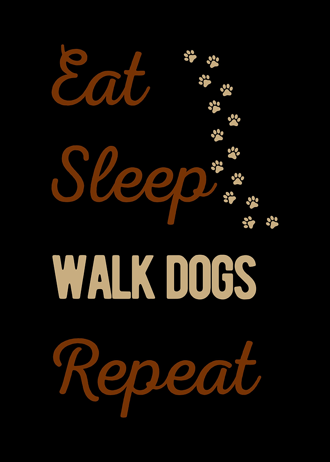 Funny Dog Walker