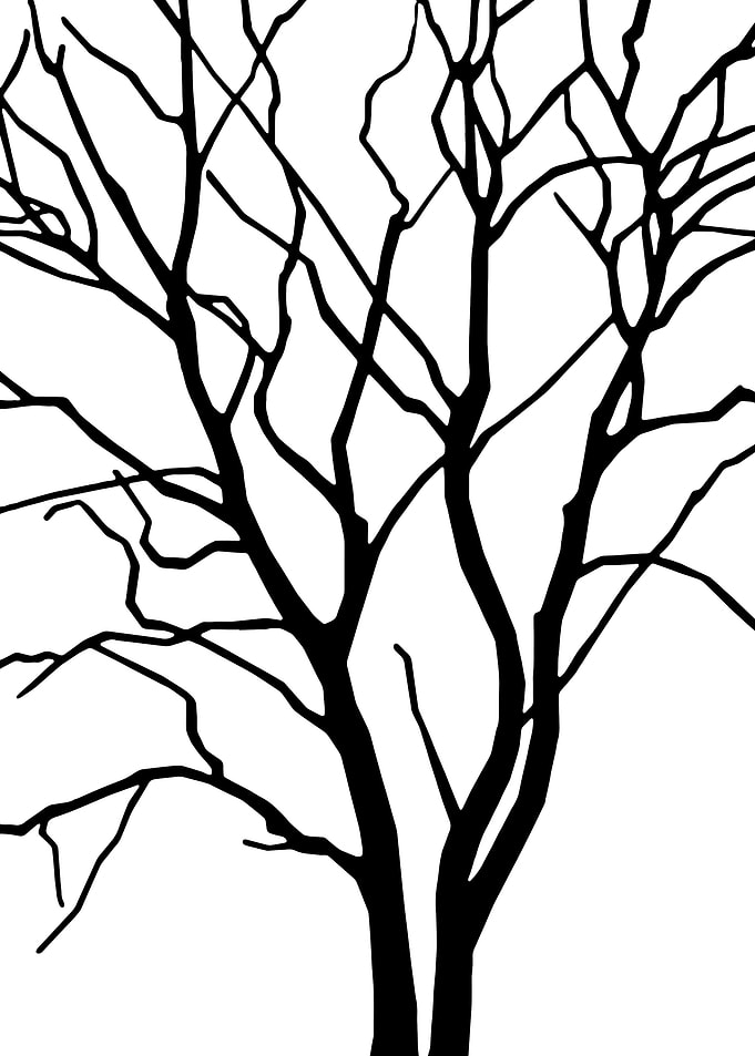 Tree Silhouette