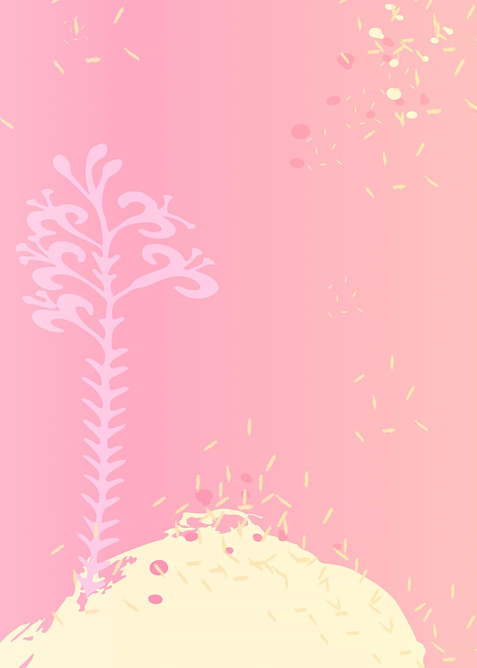 Pink Germination