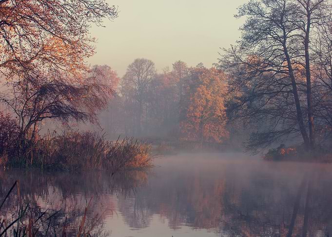 Autumn landscape in park