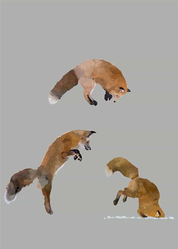 Trajectory of a jump
