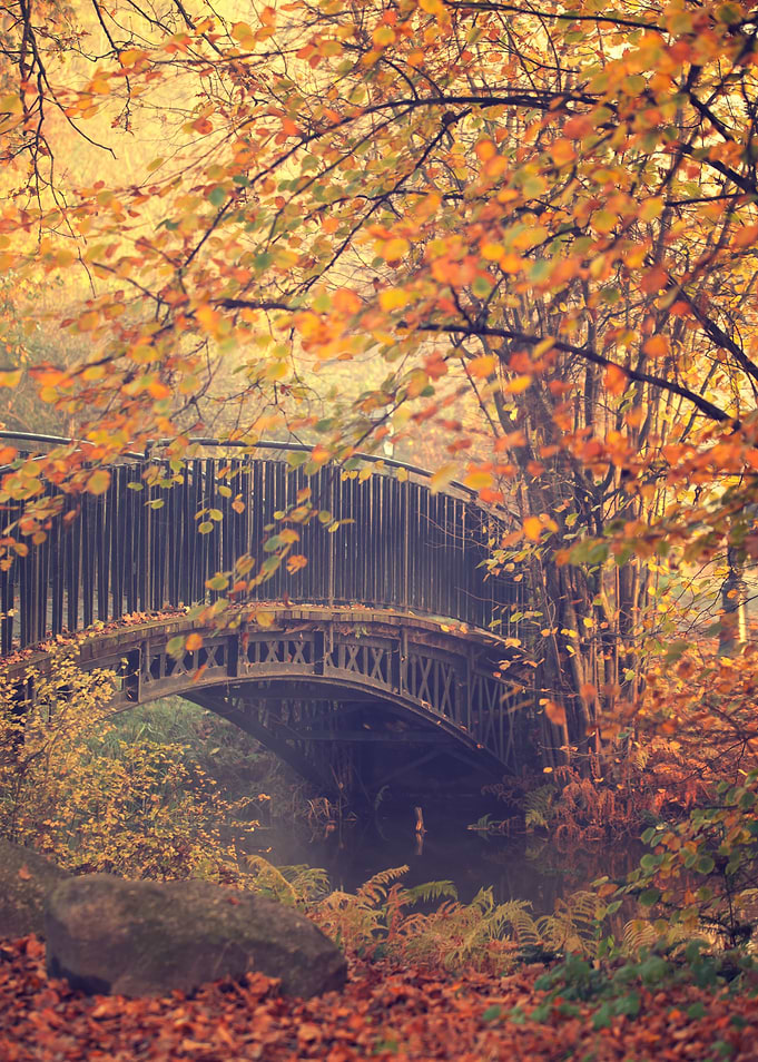 Autumn bridge,park, trees