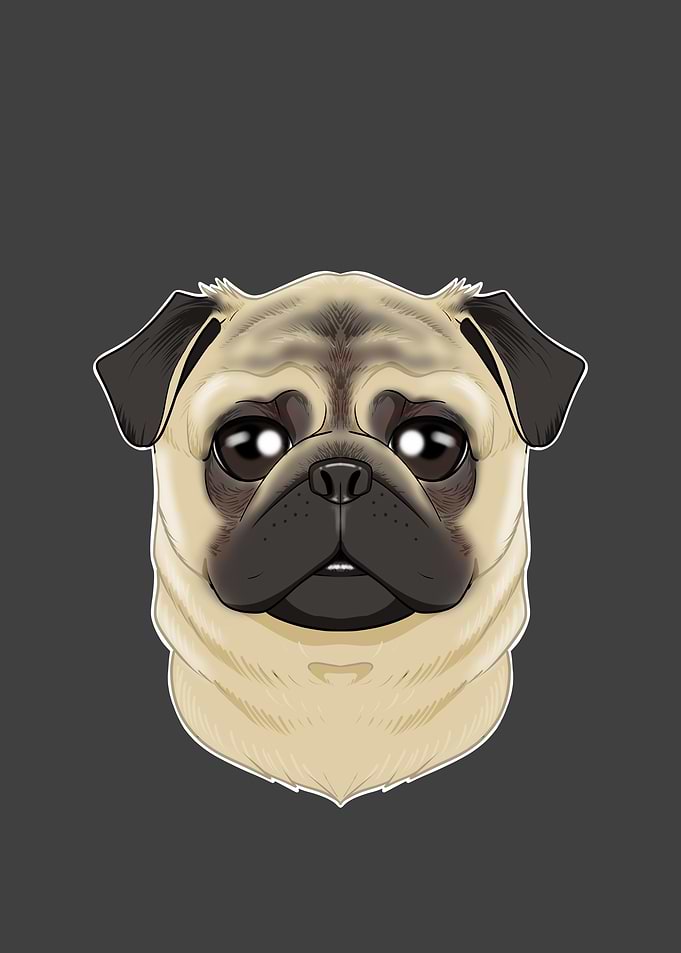 Pug Lover I Dog Lover I
