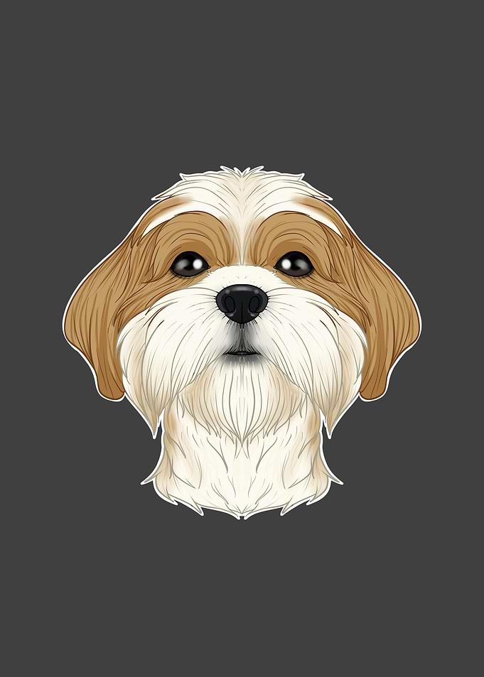 Shih Tzu Lover I Dog Lover