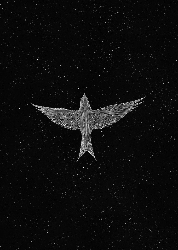 Flying Bird
