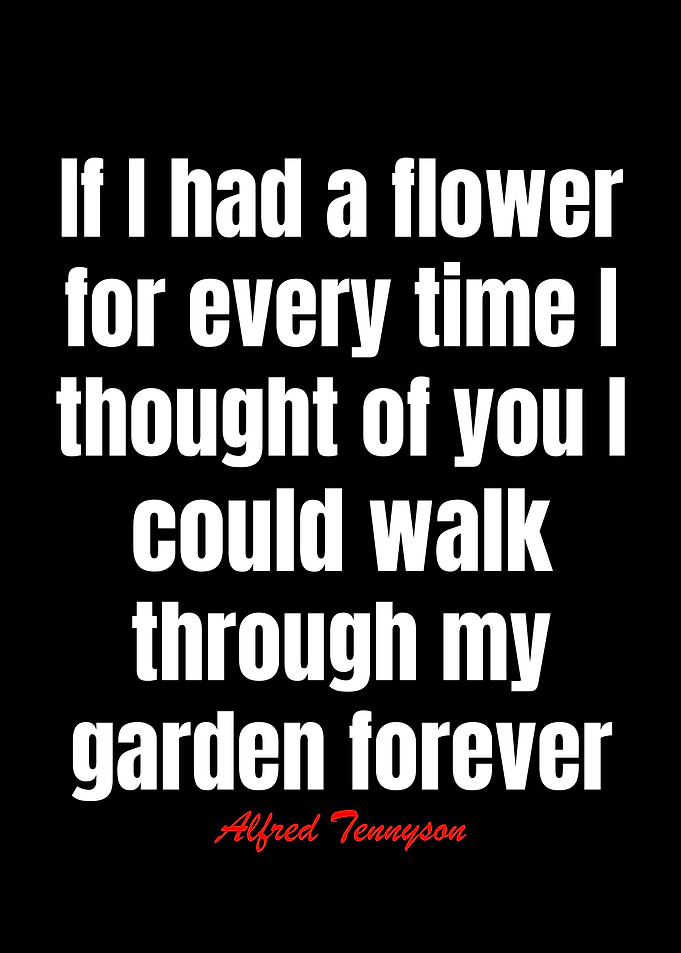 Love Quotes