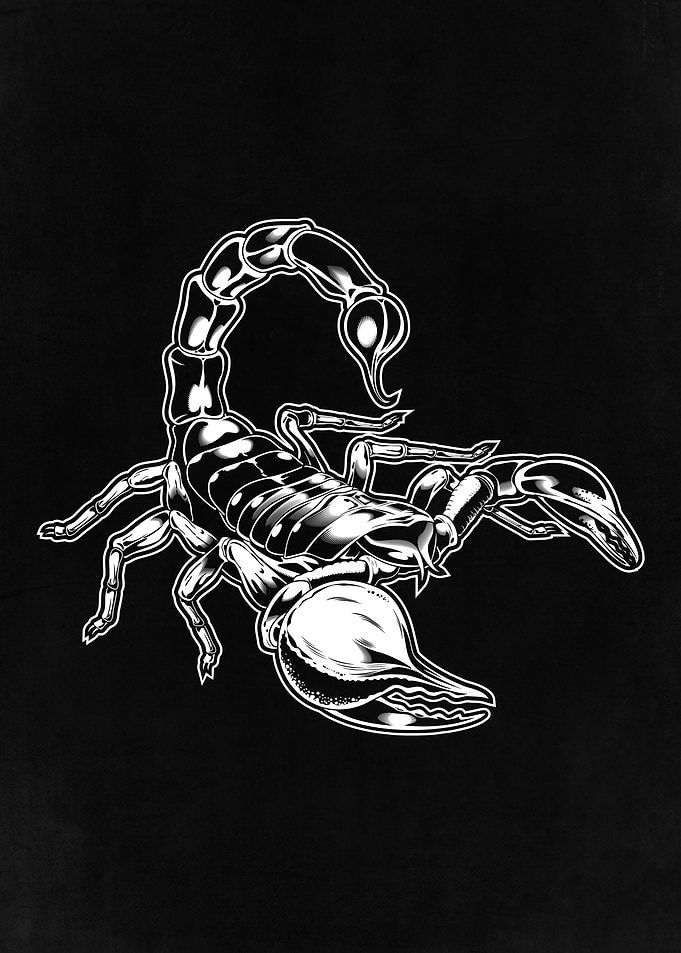 White Scorpion