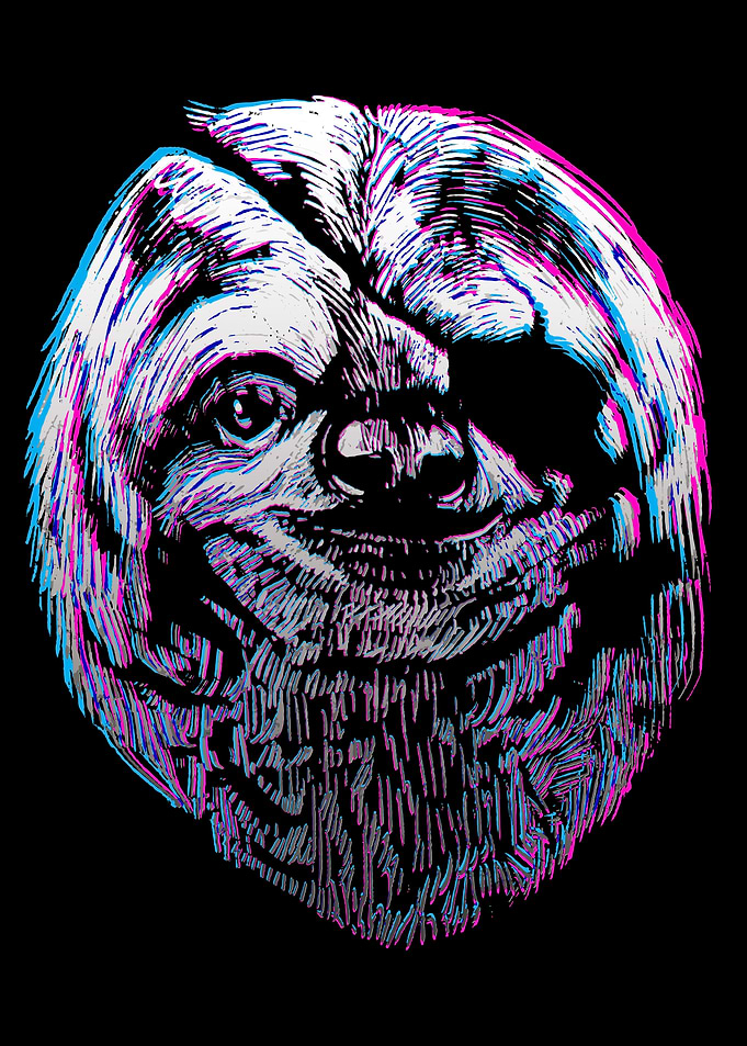 Sloth With Eye Patch