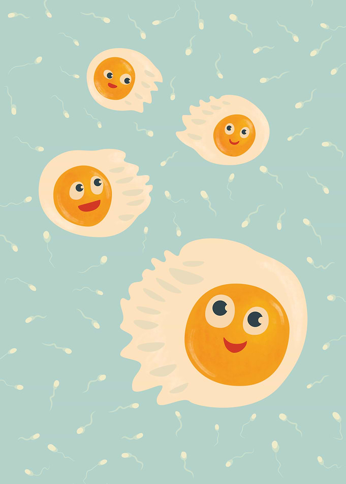 Fried Eggs Spermatozoids