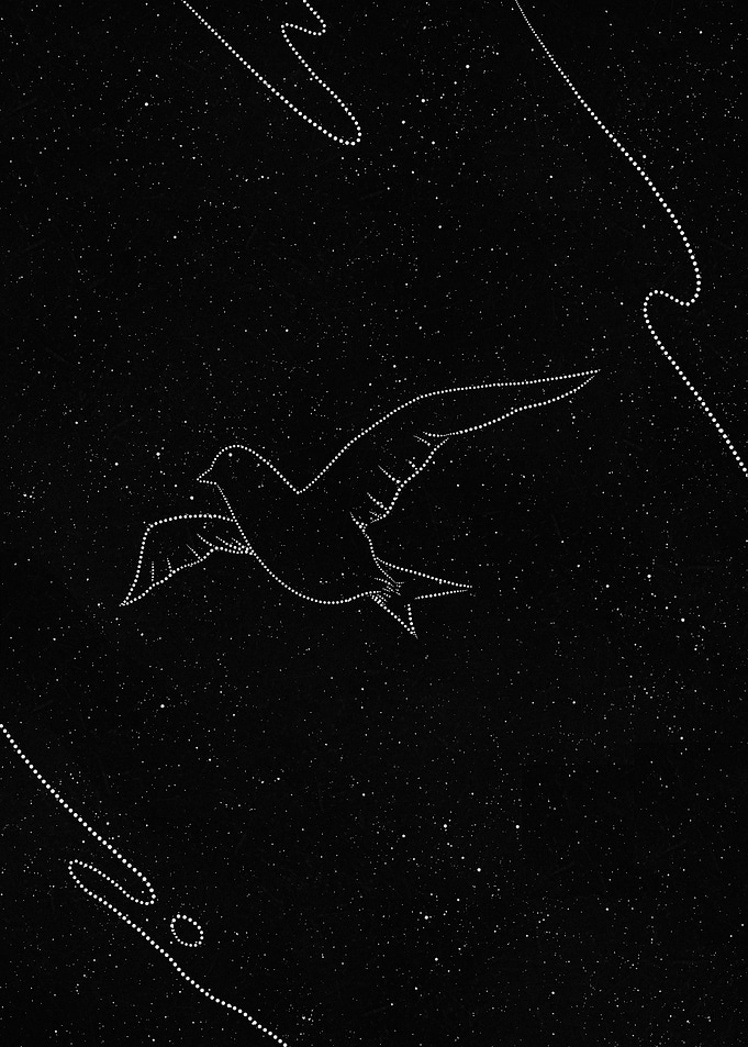 Bird Flying in the Galaxy