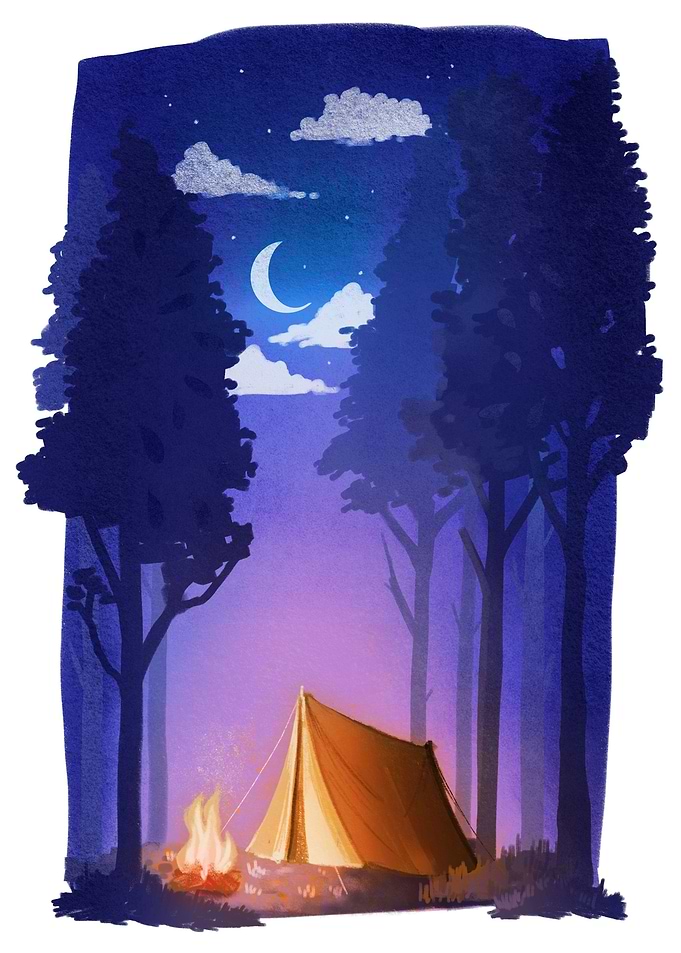 Go Camping