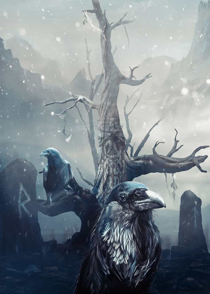 Huginn and Muninn Ravens