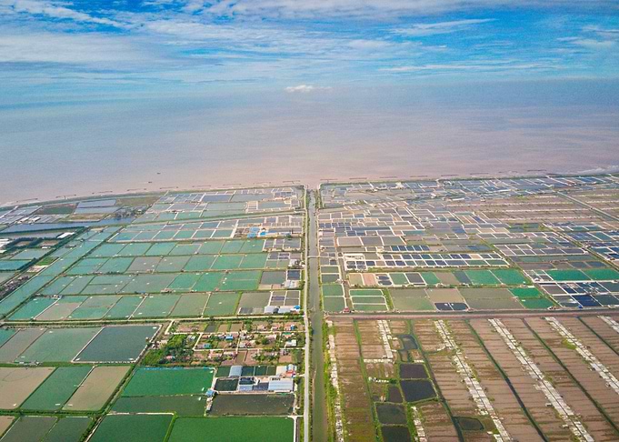 Shrimp farms in Giao Thuy