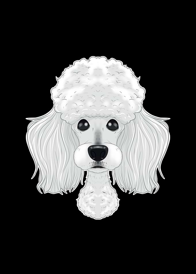 Poodle Lover I Poodle