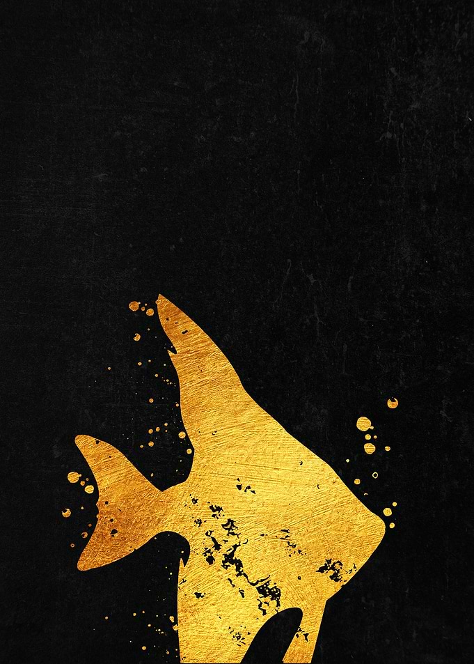 Angelfish