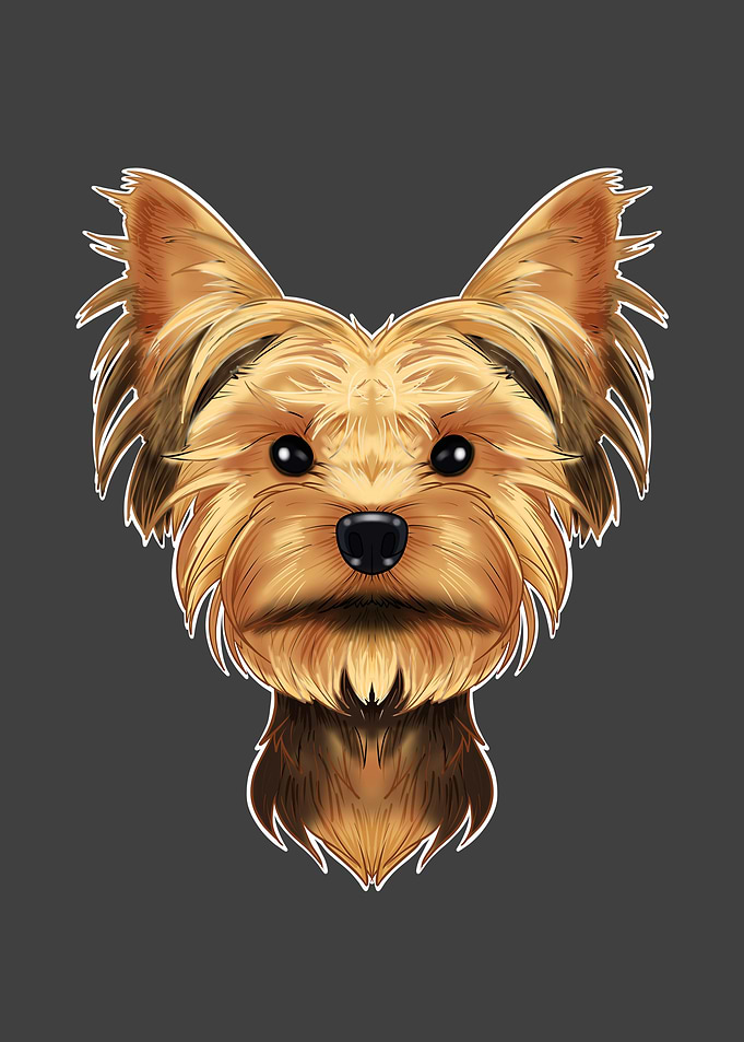 Yorkshire Terrier Lover