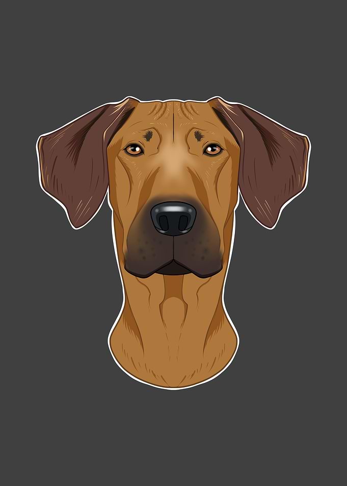 Rhodesian Ridgeback Lover